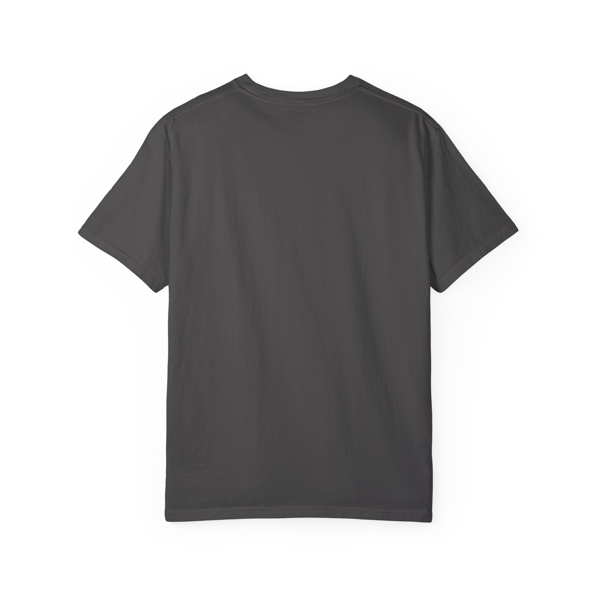 Lion Men's Garment-Dyed T-shirt